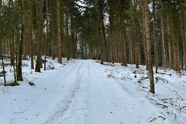 Schmaler verschneiter Waldweg im Winter – Symbol für Enge, Unsicherheit und den Moment des Schockunfalls.