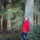 Rotjäckchen im Wald: Frau mit rotem Jäckchen steht angelehnt an einem Baum und schaut in die Ferne.