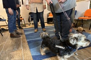 Aufstellung (2) Sinn-Aufstellung