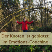 Im Wald beim Emotions-Coaching