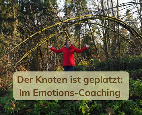 Im Wald beim Emotions-Coaching
