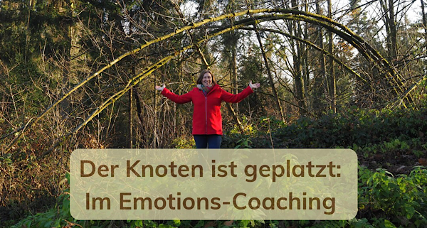Im Wald beim Emotions-Coaching