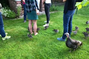 exklusive-angebote-mit-puten.jpg Exklusive Angebote mit Putenunterstützung