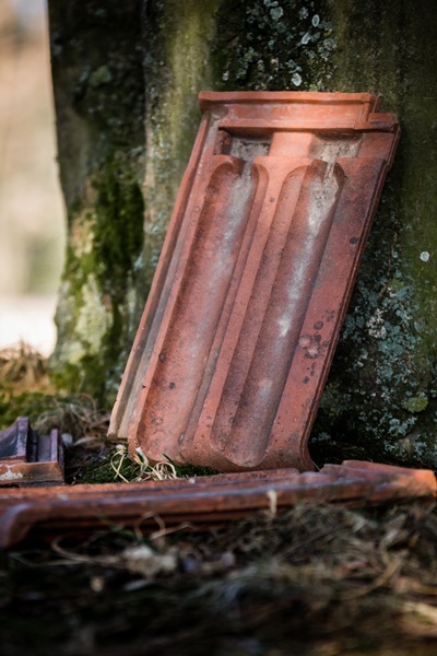 Ein Dachziegel lehnt vor einem Baum – Symbol für abgelegte Lasten und den Weg der inneren Befreiung beim Wut-Pfad-Seminar.“