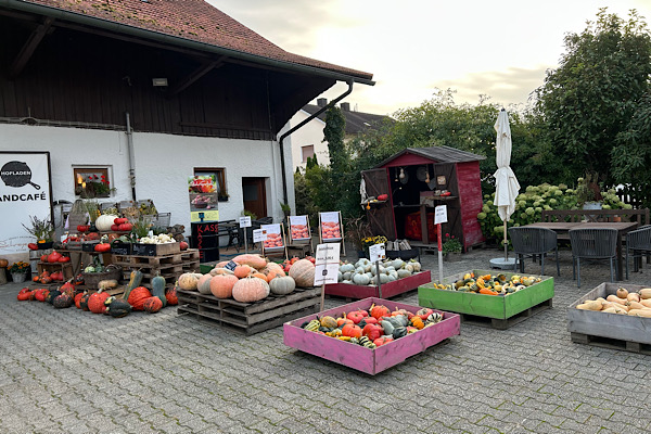 Kürbisvielfalt am Hof Schreyer – farbenfrohe Ernte vor dem Landcafé, Symbol für Fülle und kreative Hingabe.