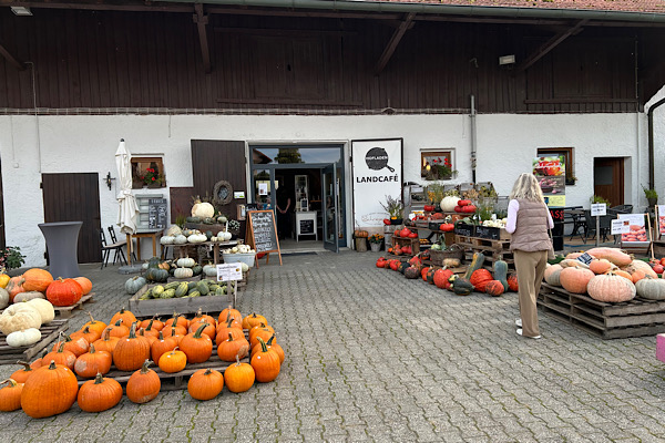 Blick auf den Hof vor dem Landcafé Schreyer – unzählige Kürbisse in leuchtenden Farben und Formen, liebevoll arrangiert.