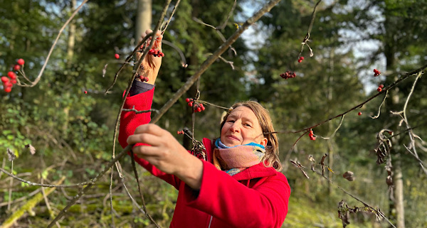 Anita Griebl in roter Jacke hält einen Zweig mit Hagebutten im Wald fest.