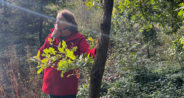 Anita Griebl steht in der Natur und wird von einem Lichtstrahl berührt – Symbol für Heilenergetik, Energiearbeit und ganzheitliche Heilung.