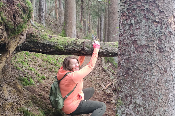 Frau mit oranger Jacke und Rucksack zwängt sich unter einem gefällten Baum im Wald hindurch – Symbol für das Überwinden von Hindernissen.