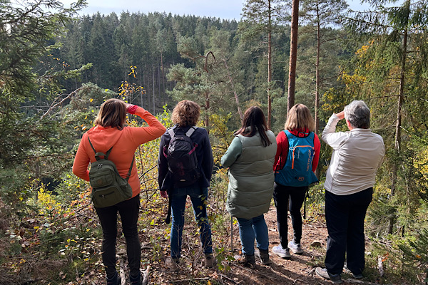 Fünf Frauen einer Wandergruppe stehen im Wald und blicken in die Ferne; sie sind von hinten zu sehen.