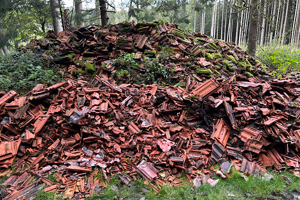 Der Dachziegel-Wutberg im Wald, vollständig sichtbar zwischen Bäumen.
