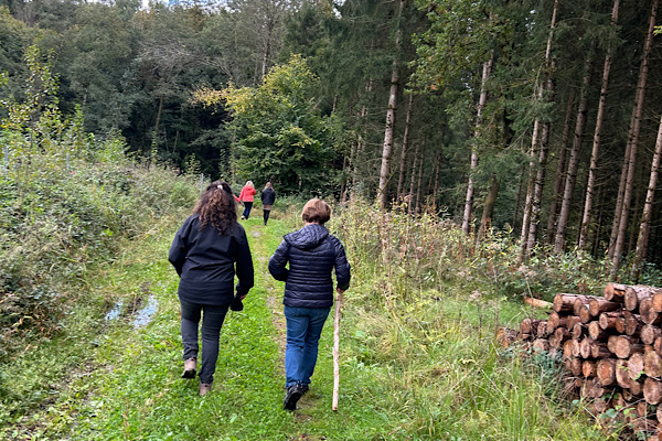 Teilnehmer gehen von hinten sichtbar einen Waldweg des Wut-Pfads entlang.