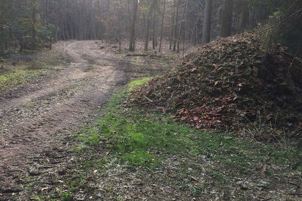 Dachziegel-Wutberg im Frühjahr, mit übereinanderliegenden Ziegeln und frischem Grün im Hintergrund.