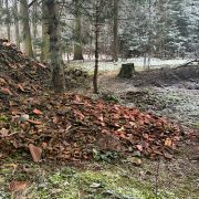 Seitliche Ansicht des Dachziegel-Wutbergs im herbstlichen Wald.