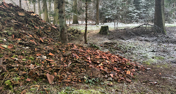 Seitliche Ansicht des Dachziegel-Wutbergs im herbstlichen Wald.