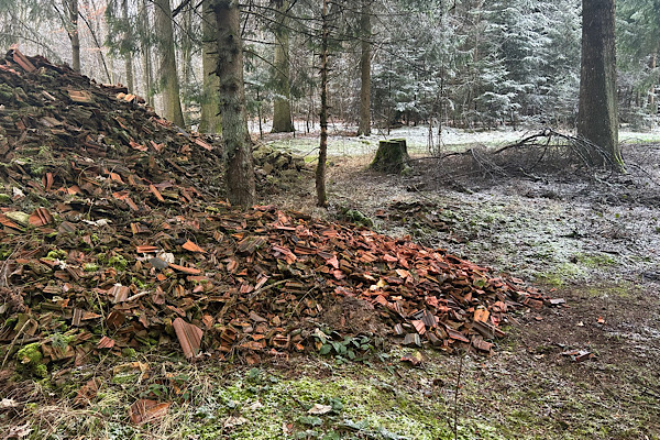 Seitliche Ansicht des Dachziegel-Wutbergs im herbstlichen Wald.