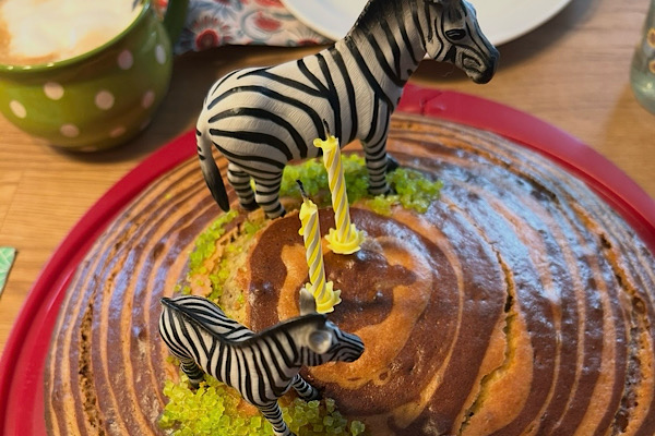 Zebrakuchen mit zwei Spielzebras als Deko zum 2. Geburtstag unseres Enkels – Monatsrückblick Februar 2026.