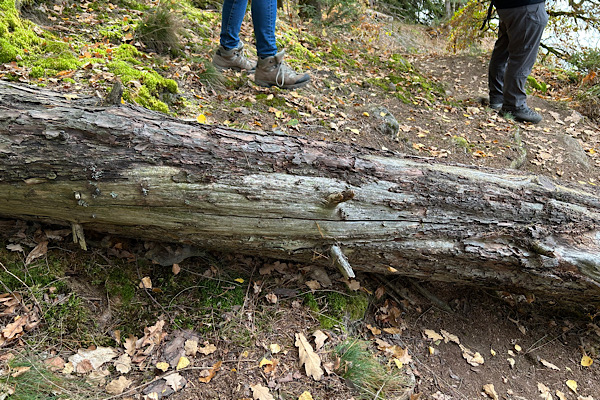 Grenzen spüren lernen – typischer Anfängerfehler in der Persönlichkeitsstärkung