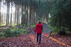 Anita Griebl in roter Jacke geht achtsam durch den herbstlichen Wald – Symbol für Persönlichkeitsstärkung und innere Klarheit.