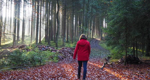 Anita Griebl in roter Jacke geht achtsam durch den herbstlichen Wald – Symbol für Persönlichkeitsstärkung und innere Klarheit.