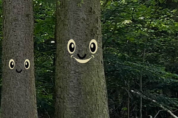 Zwei lachende Baumwesen, die im Wald ihre wurzelige Wahrheit teilen.