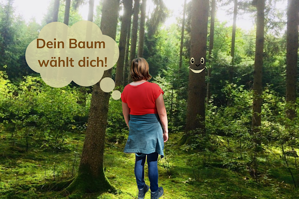 Ich stehe im Wald vor einem Baum mit Gesicht, bereit für unser erstes offizielles Coaching‑Gespräch.
