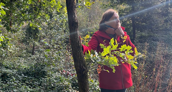Anita Griebl steht im Wald, die Hand am Kinn, schaut nachdenklich in die Ferne, während ein Lichtstrahl ihr Gesicht berührt.