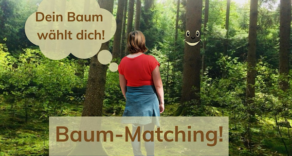Ich stehe im Wald vor einem Baum mit Gesicht, bereit für unser erstes offizielles Coaching‑Gespräch.