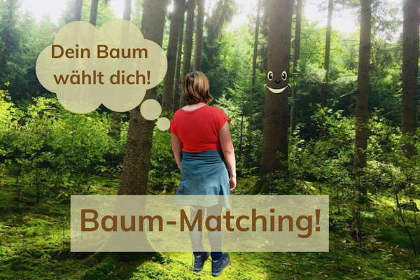 Ich stehe im Wald vor einem Baum mit Gesicht, bereit für unser erstes offizielles Coaching‑Gespräch.