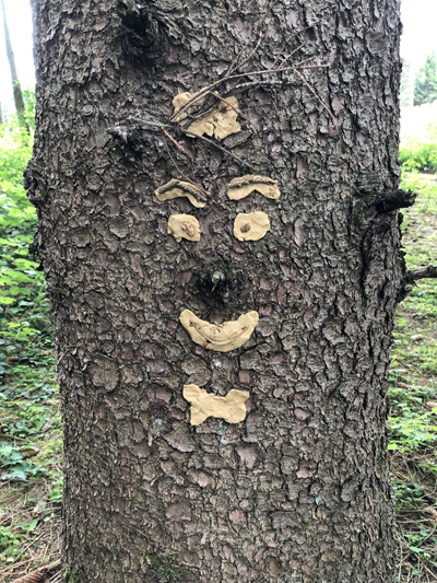 Baumstamm mit einem aus Ton geformten Gesicht und kleinen Ästen als Haare.