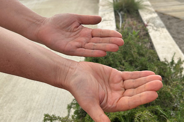 Phase 3 – Tiefe und Transformation: offene Hände von Anita Griebl über hellem Boden und Grün