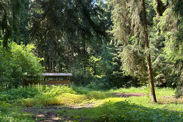 Lichtung mit Bienenhaus – Symbol für die Auflösung meines Aprilscherzes.