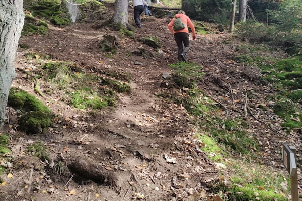 Anita Griebl steigt mit einem Rucksack eine bewaldete Anhöhe hinauf. Wut-Pfad Erfahrungen, Mut und den Weg durch die eigenen Themen.