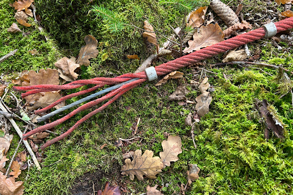 Gerissenes rotes Seil auf moosigem Waldboden – Symbol für alte Muster und den Moment des inneren Wendepunkts.