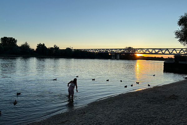 Die Donau im warmen Abendlicht, im Hintergrund eine Brücke; im Vordergrund geht eine Person durch das flache Wasser.