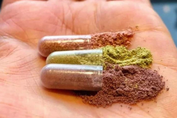 Anita Griebl hält die geöffneten Obst‑, Gemüse‑ und Beerenkapseln in der Hand – die Synergie von 30 Pflanzen und pflanzlichem Omega als tägliche Pflanzenkraft.