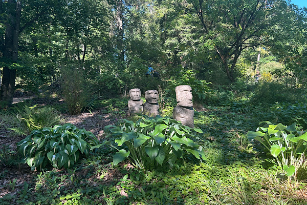 Sanftes Licht im Wald – Symbol für Achtsamkeit und natürliche Klarheit.