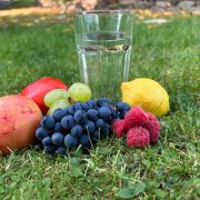 Glas Wasser mit Früchten, Tomate und Beeren im Gras – natürliche Pflanzenkraft für Detox und Körperreinigung.