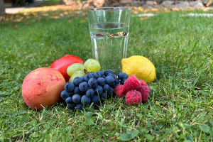 Lebensenergie und Detox Glas Wasser mit Früchten, Tomate und Beeren im Gras – natürliche Pflanzenkraft für Detox und Körperreinigung.