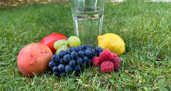 Glas Wasser mit Früchten, Tomate und Beeren im Gras – natürliche Pflanzenkraft für Detox und Körperreinigung.