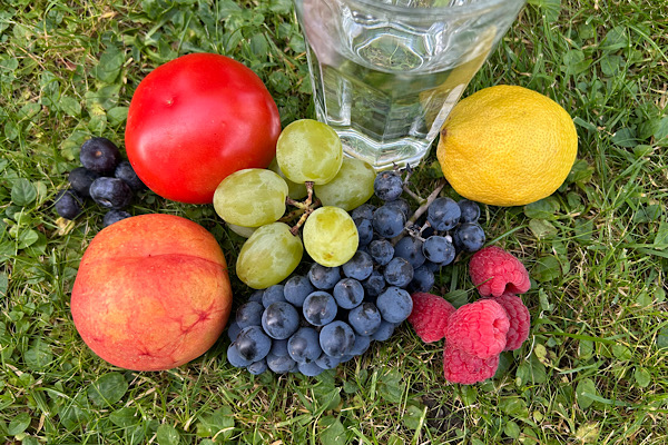 Glas Wasser mit Früchten, Tomate und Beeren im Gras, natürliche Reinigung und Pflanzenkraft.